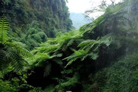 德慶盤龍峽|盤龍峽生態旅遊區 (清遠市)